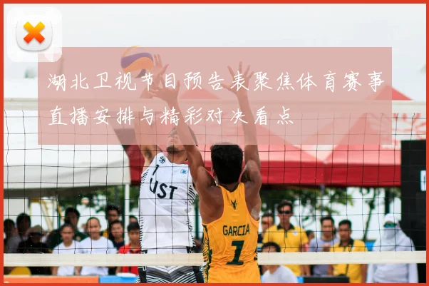 湖北卫视节目预告表聚焦体育赛事直播安排与精彩对决看点