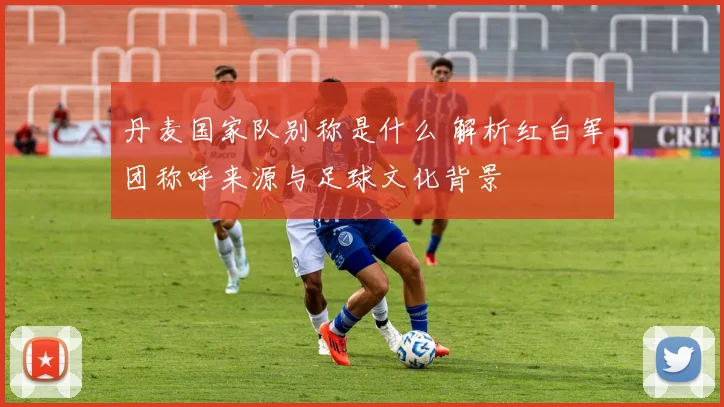 丹麦国家队别称是什么 解析红白军团称呼来源与足球文化背景