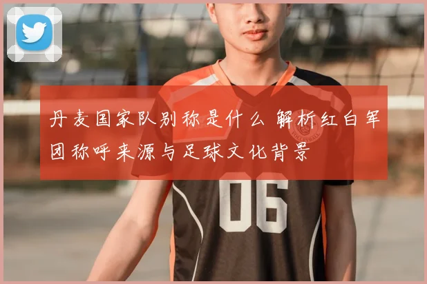 丹麦国家队别称是什么 解析红白军团称呼来源与足球文化背景