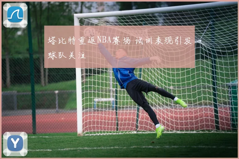 塔比特重返NBA赛场 试训表现引发球队关注