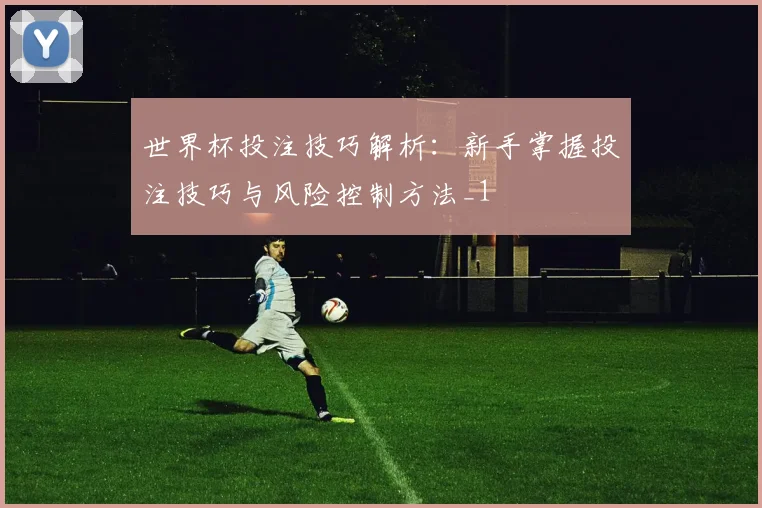 世界杯投注技巧解析：新手掌握投注技巧与风险控制方法_1