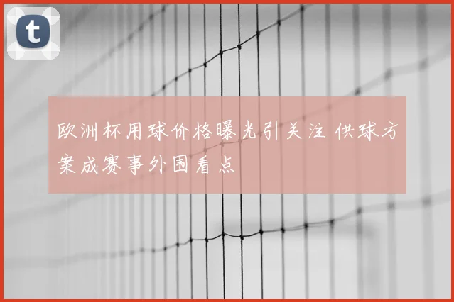 欧洲杯用球价格曝光引关注 供球方案成赛事外围看点