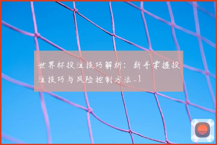 世界杯投注技巧解析：新手掌握投注技巧与风险控制方法_1