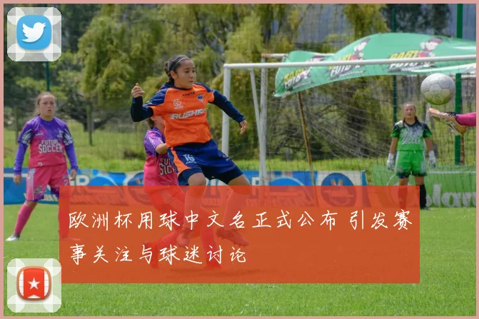 欧洲杯用球中文名正式公布 引发赛事关注与球迷讨论